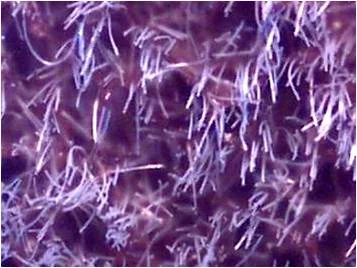 purpple flock.jpg